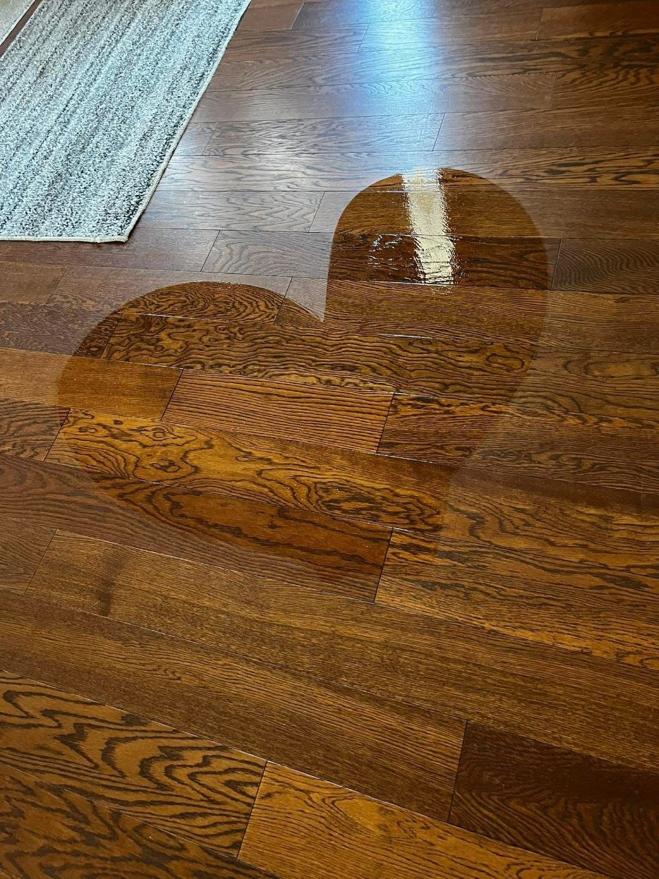 Gallery image for Candi's Maid to Clean